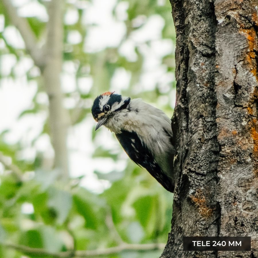 Обʼєктив Moment SuperTele 240mm Mobile Lens II (T-Series)