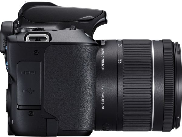 Цифрова дзеркальна фотокамера Canon EOS 250D Kit 18-55 IS STM Black (6500425) 