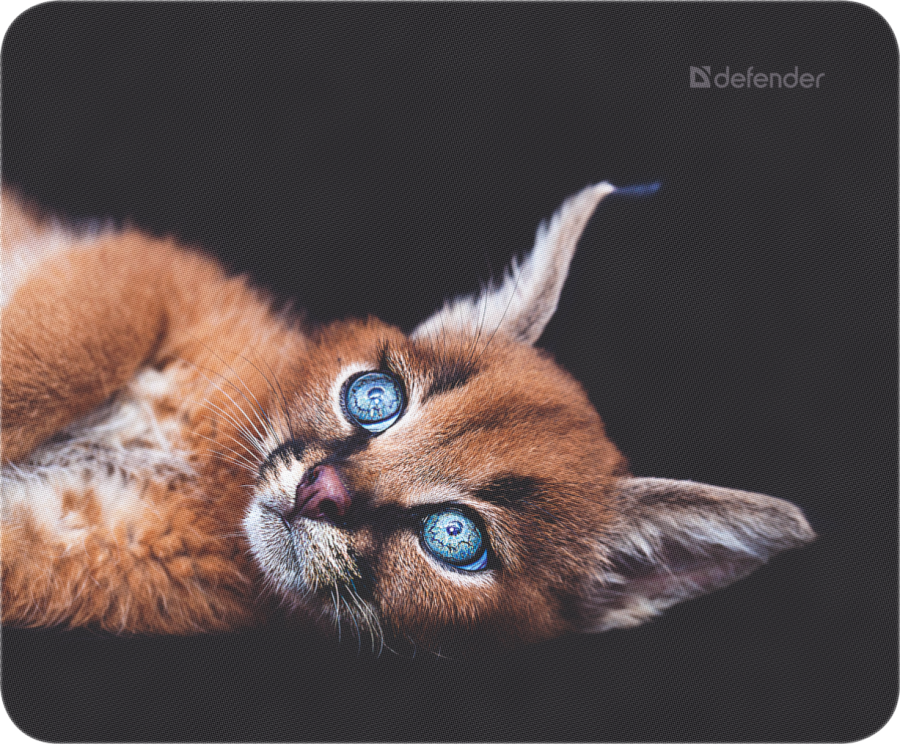 Килимок для миші Defender Wild (50803) (6287447) 