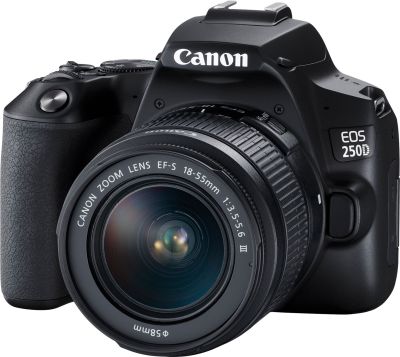 Цифрова дзеркальна фотокамера Canon EOS 250D kit 18-55 DC III Black (6520070) 