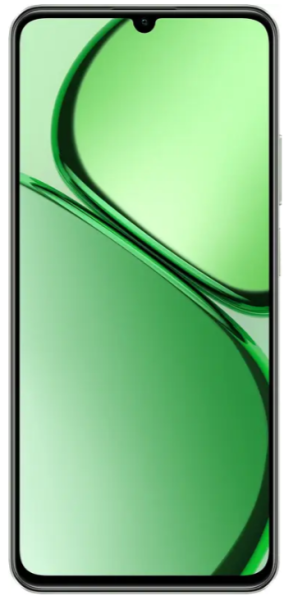 Смартфон Realme C63 6/128Gb NFC Green (6999167) 