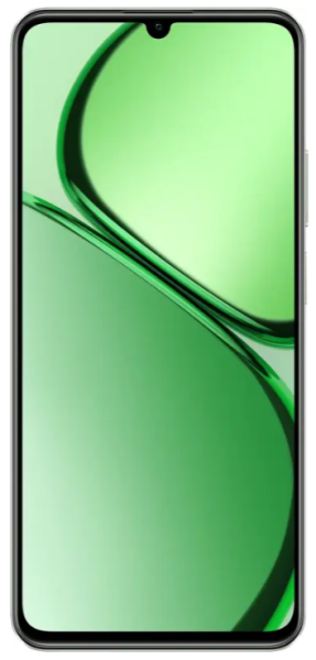 Смартфон Realme C63 8/256Gb NFC Green (6999170) 