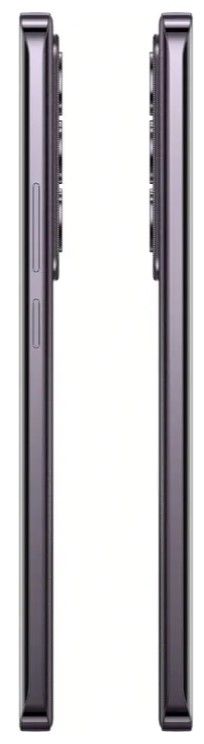Смартфон OPPO Reno12 12/256GB Black Brown (6999273) 