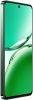 Смартфон OPPO Reno12 FS 12/512GB Black Green (7005071) 