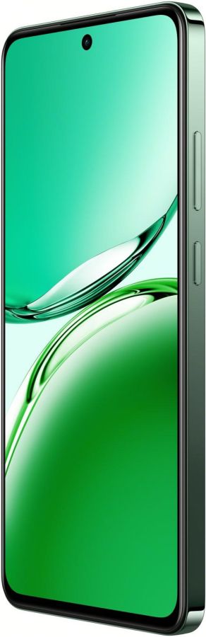 Смартфон OPPO Reno12 FS 12/512GB Black Green (7005071) 