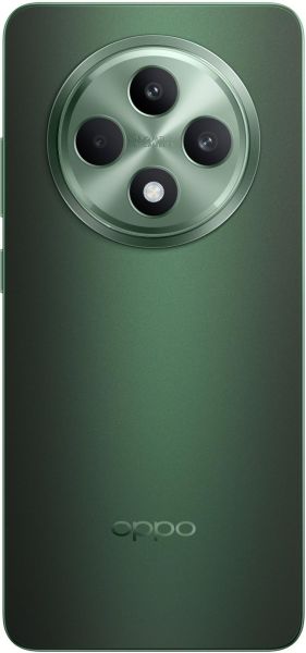 Смартфон OPPO Reno12 FS 12/512GB Black Green (7005071) 