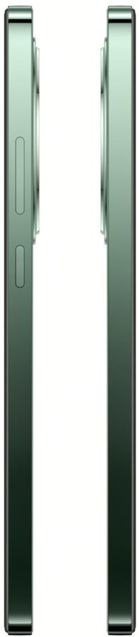 Смартфон OPPO Reno12 FS 12/512GB Black Green (7005071) 