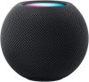 Акустическая система Apple HomePod mini (Space Gray)