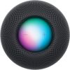 Акустическая система Apple HomePod mini (Space Gray)