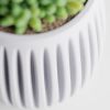 Кашпо Columna Planter (Marble White)