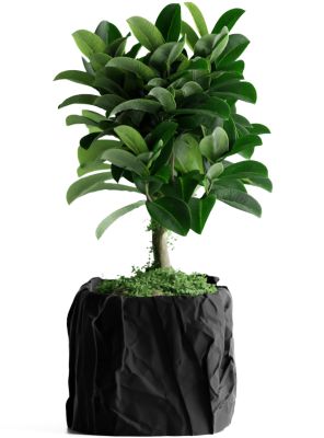 Кашпо Crumbled Paper Square Planter (Black)