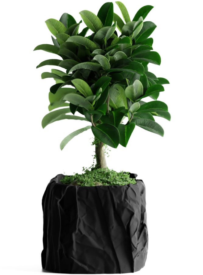 Кашпо Crumbled Paper Square Planter (Black)