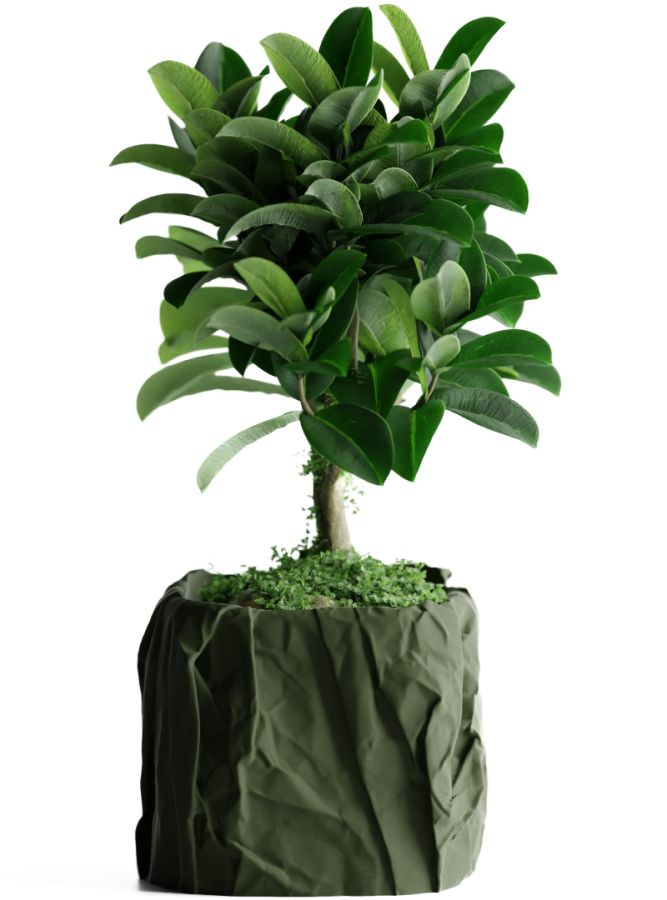 Кашпо Crumbled Paper Square Planter (Olive Green)