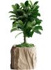 Кашпо Crumbled Paper Square Planter (Wood)