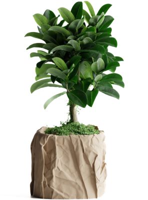 Кашпо Crumbled Paper Square Planter (Wood)