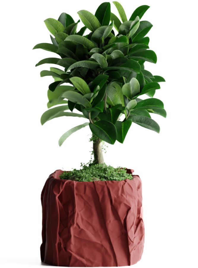 Кашпо Crumbled Paper Square Planter (Dark Red)