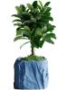 Кашпо Crumbled Paper Square Planter (Light Blue)