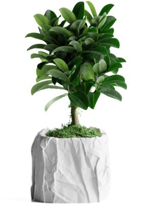 Кашпо Crumbled Paper Square Planter (White)