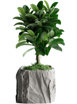 Кашпо Crumbled Paper Square Planter (Grey)