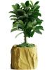 Кашпо Crumbled Paper Square Planter (Yellow)
