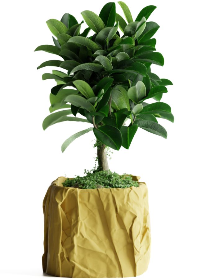 Кашпо Crumbled Paper Square Planter (Yellow)