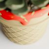 Кашпо Ice Cream Planter (Strawberry)