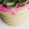 Кашпо Ice Cream Planter (Raspberry)