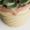 Кашпо Ice Cream Planter (Chocoalte)