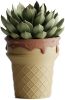 Кашпо Ice Cream Planter (Chocoalte)