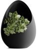 Кашпо Hpinvent Nest Planter (Black)