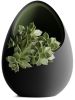 Кашпо Hpinvent Nest Planter (Black/Olive Green)