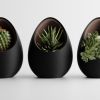 Кашпо Hpinvent Nest Planter (Black/Dark Brown)