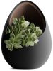 Кашпо Hpinvent Nest Planter (Black/Dark Brown)