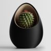 Кашпо Hpinvent Nest Planter (Black/Wood)