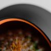 Кашпо Hpinvent Nest Planter (Black/Orange)