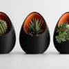 Кашпо Hpinvent Nest Planter (Black/Orange)