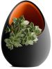 Кашпо Hpinvent Nest Planter (Black/Orange)