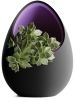 Кашпо Hpinvent Nest Planter (Black/Purple)