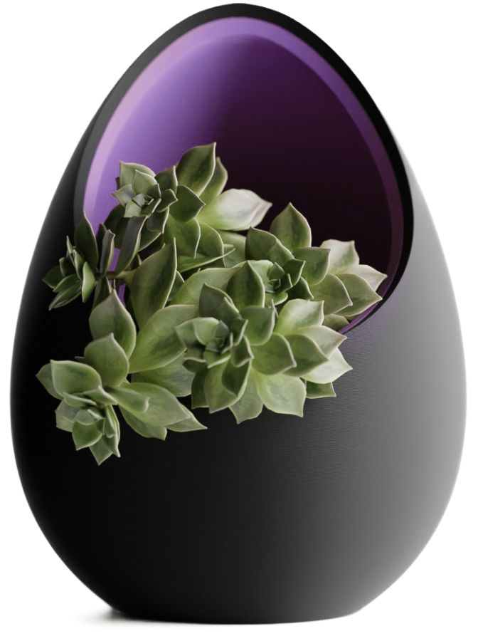 Кашпо Nest Planter (Black/Purple)