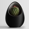 Кашпо Hpinvent Nest Planter (Black/Grey)