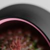 Кашпо Hpinvent Nest Planter (Black/Pink)