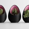 Кашпо Hpinvent Nest Planter (Black/Pink)