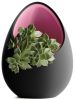 Кашпо Hpinvent Nest Planter (Black/Pink)