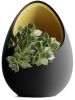 Кашпо Hpinvent Nest Planter (Black/Yellow)