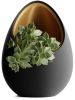 Кашпо Hpinvent Nest Planter (Black/Gold)