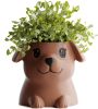 Кашпо Poppy with open eyes Pot (Brown)