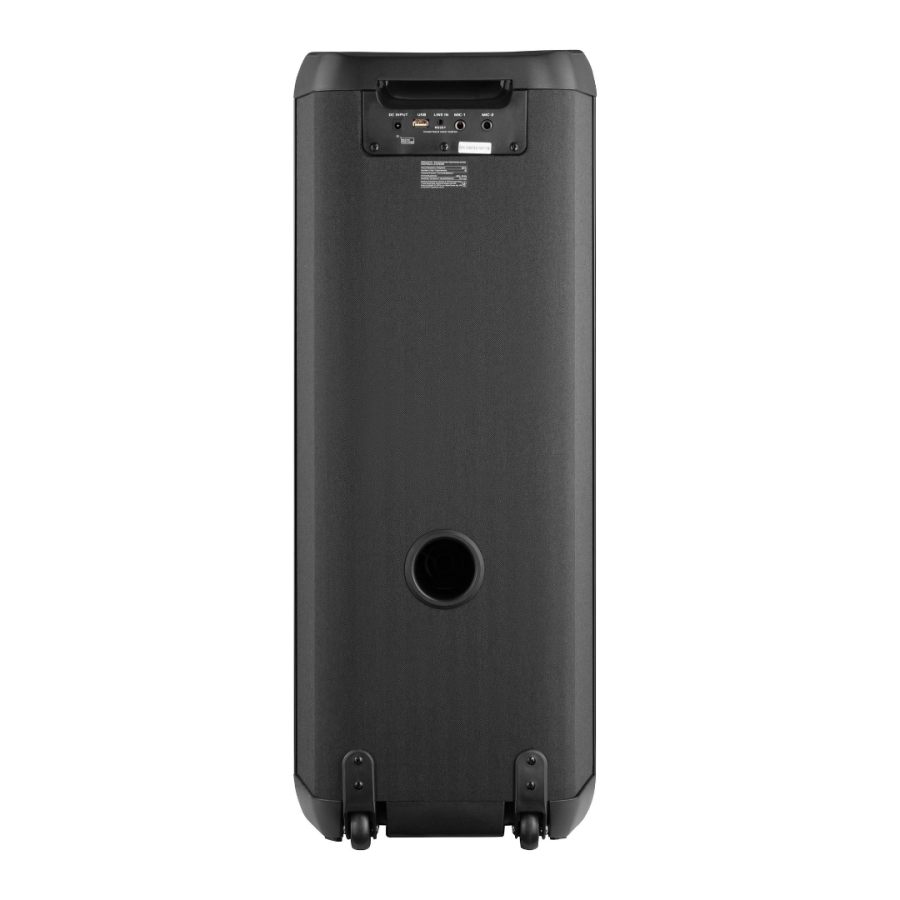 Портативна акустична система 2E PartyBoom 200 (Black)