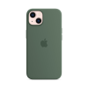 Чехол Apple Silicone Case with MagSafe для Apple iPhone 13 (Eucalyptus)