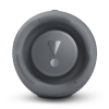 Портативная колонка JBL Charge 5 (Grey)