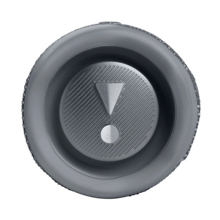 Портативна колонка JBL Flip 6 (Grey)